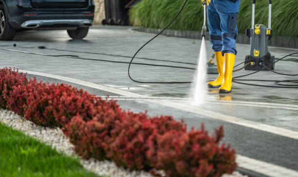 Best Pool Deck Cleaning  in Bogalusa, LA
